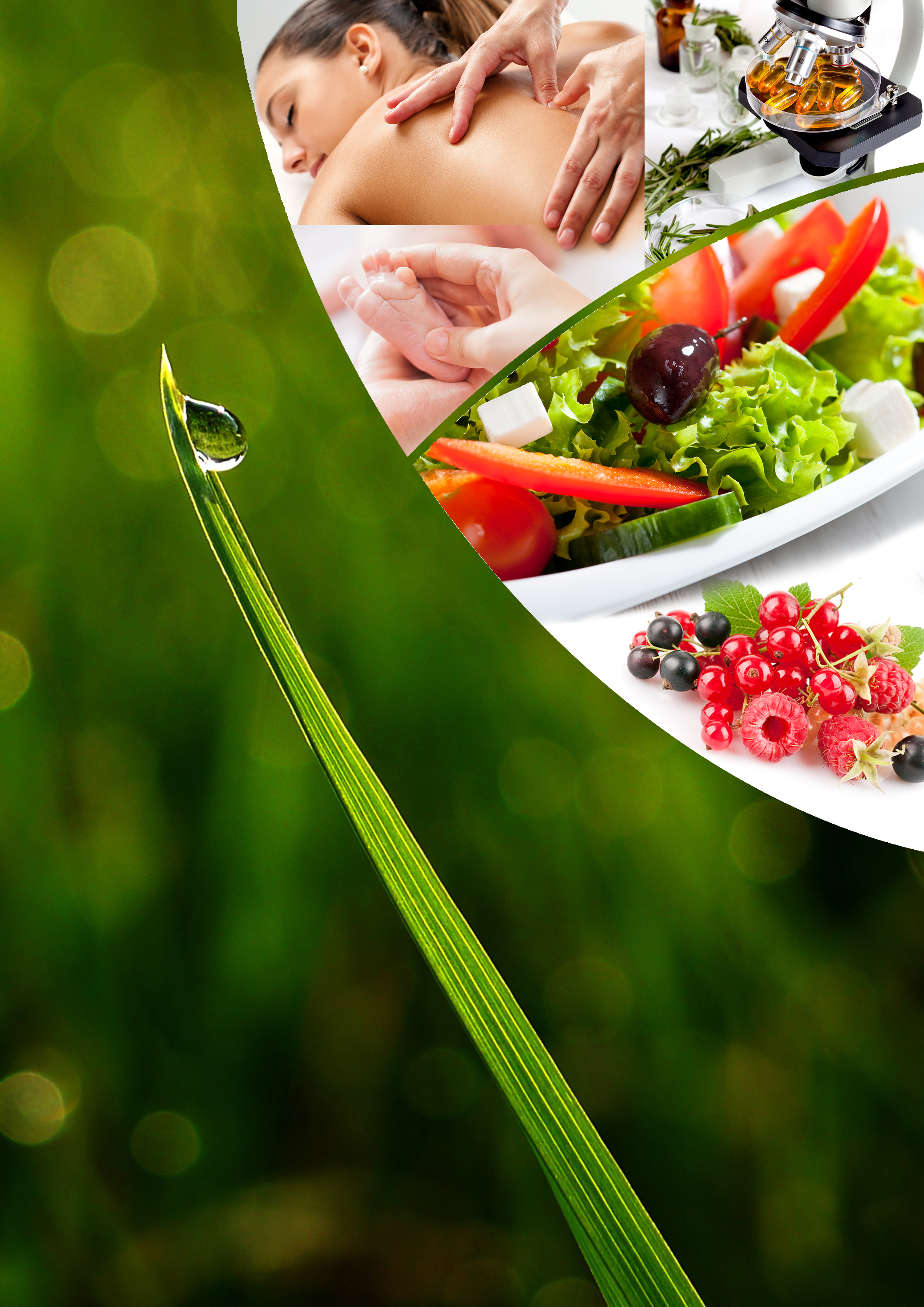 Kansi_2025_vihrea_MERJANvalinta